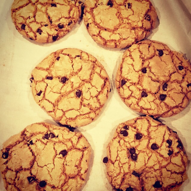 Chocolate chip cookie