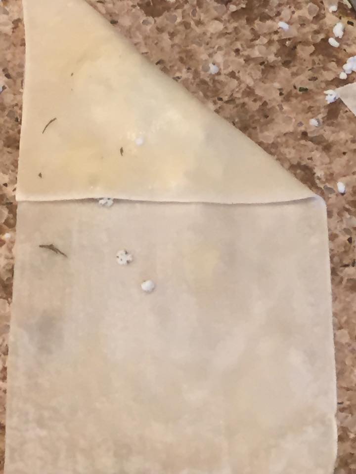 10341408_1582285002036993_1573882192150205879_n